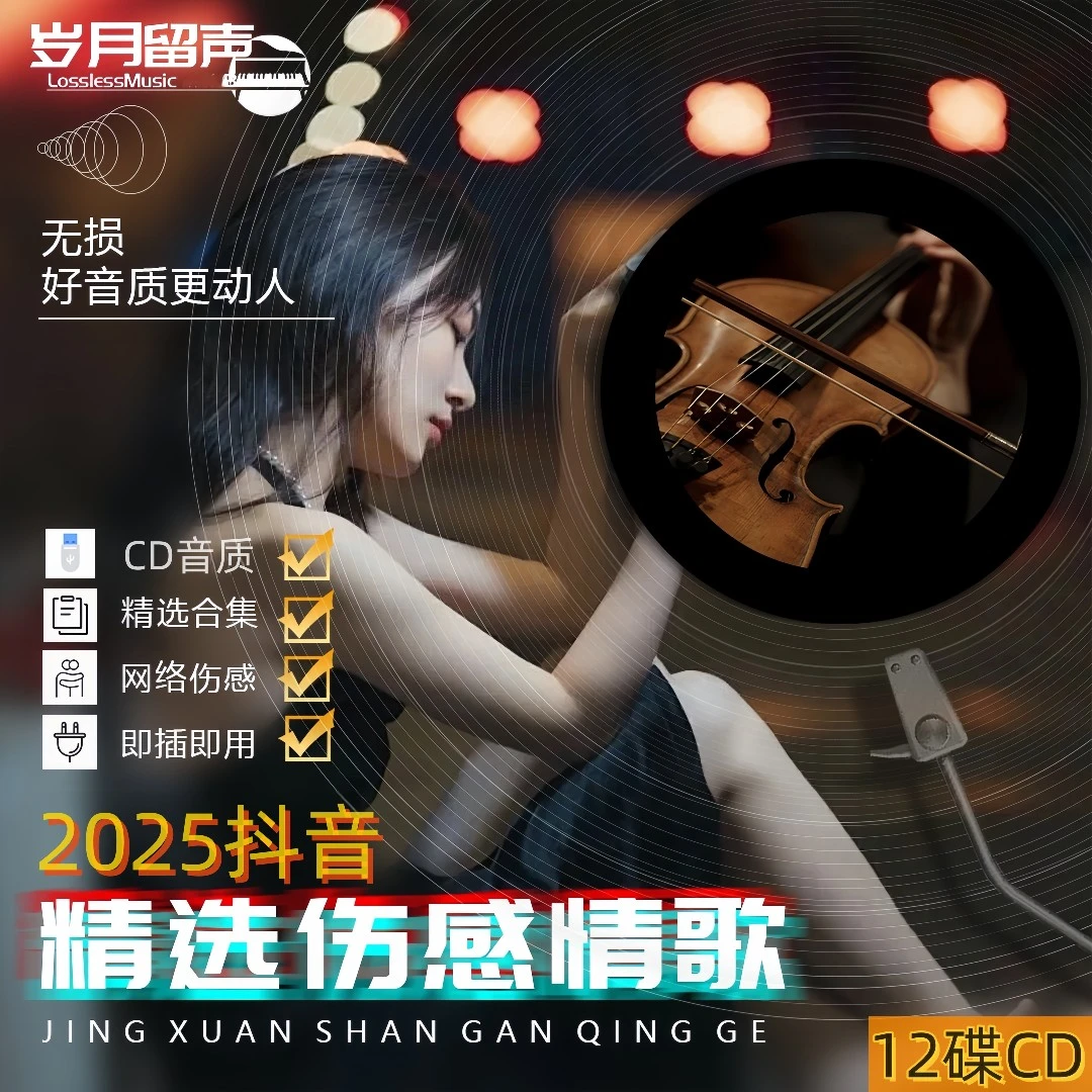2025最新款抖音热门歌曲无损CD音质网络热歌榜车载音乐碟片