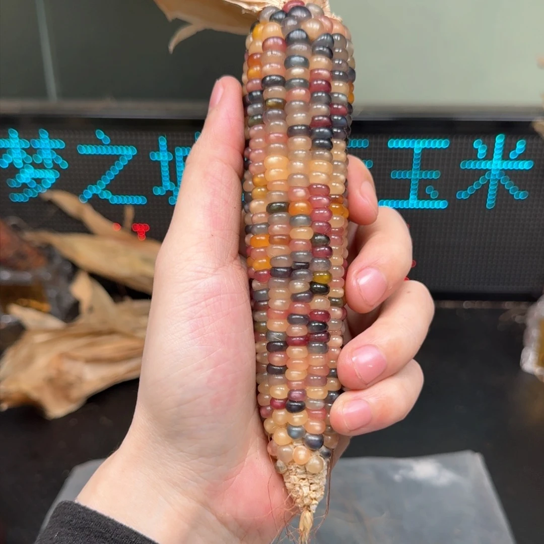 柏香籽/百香籽吊坠M**y