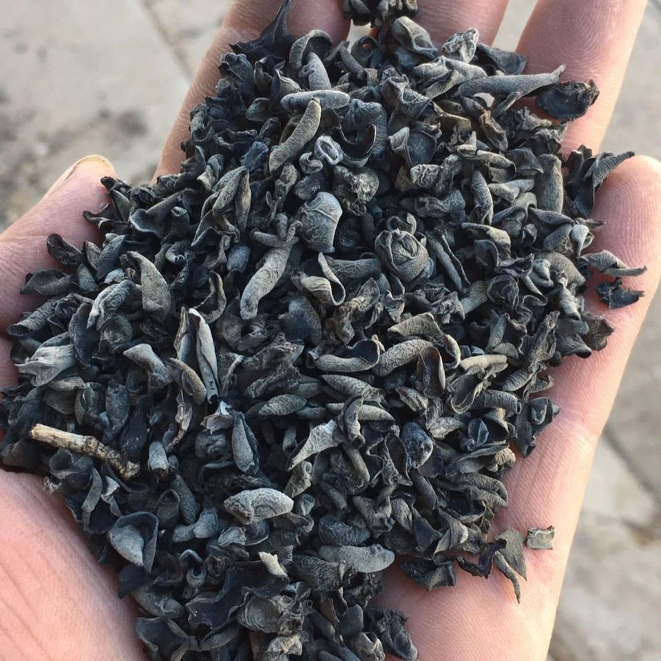 东北黑木耳碎干货碎木耳芽小木耳调汤打卤剁馅专用食材 批发