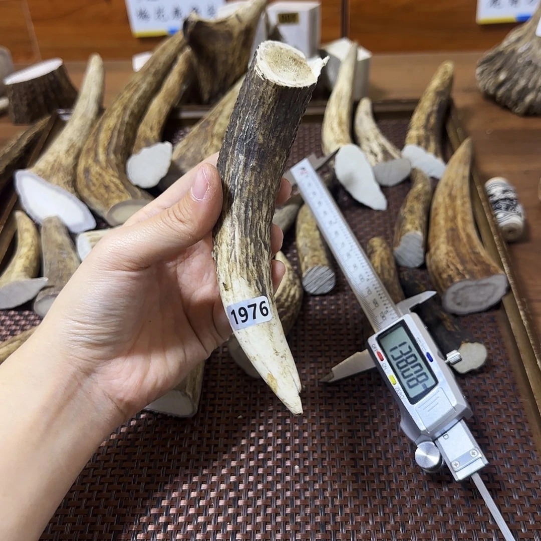 鹿骨手串/手链1976梅花鹿尖