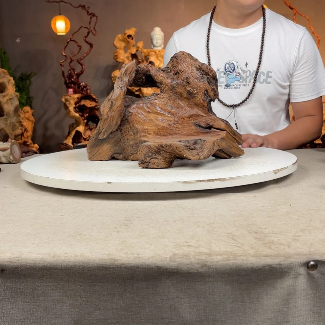 有机玻璃455565887565885555