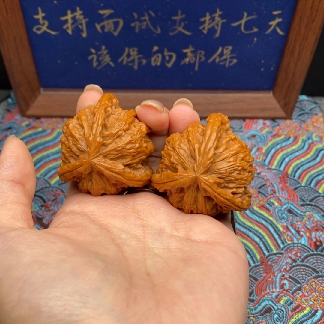 【闪购商品】玖*柒白狮