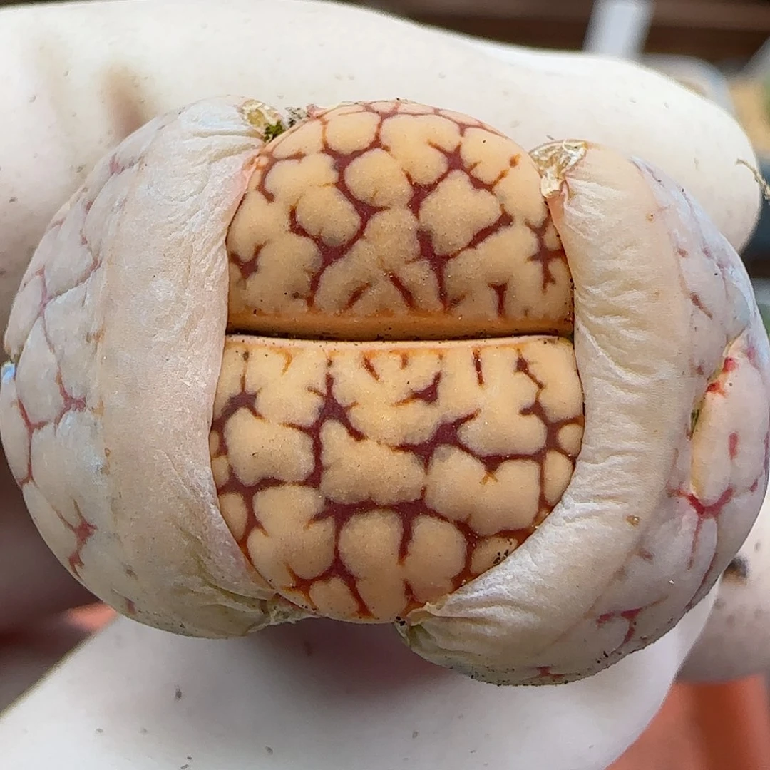 940福利福利福利