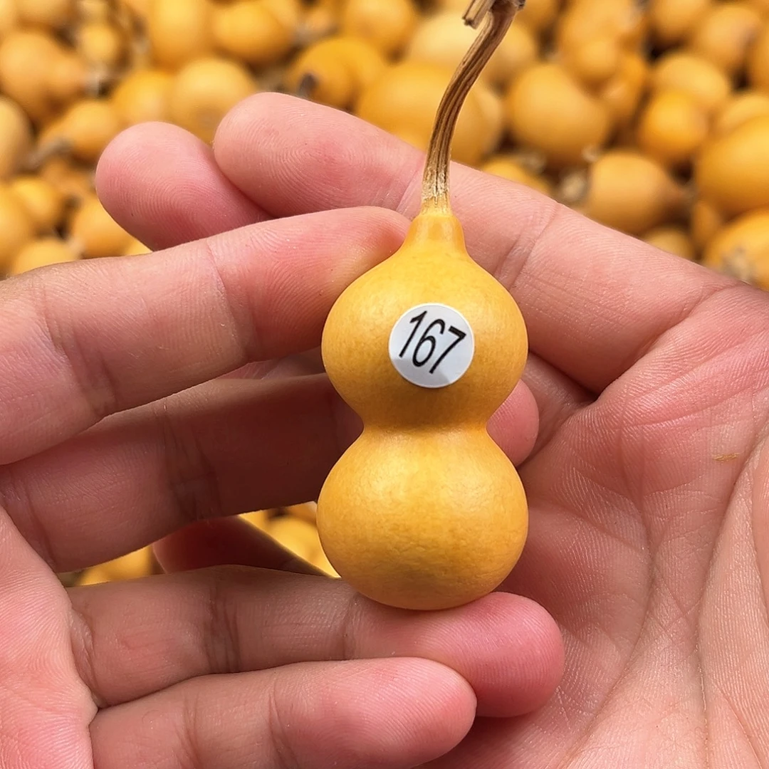 一葫芦葫芦葫芦葫芦167