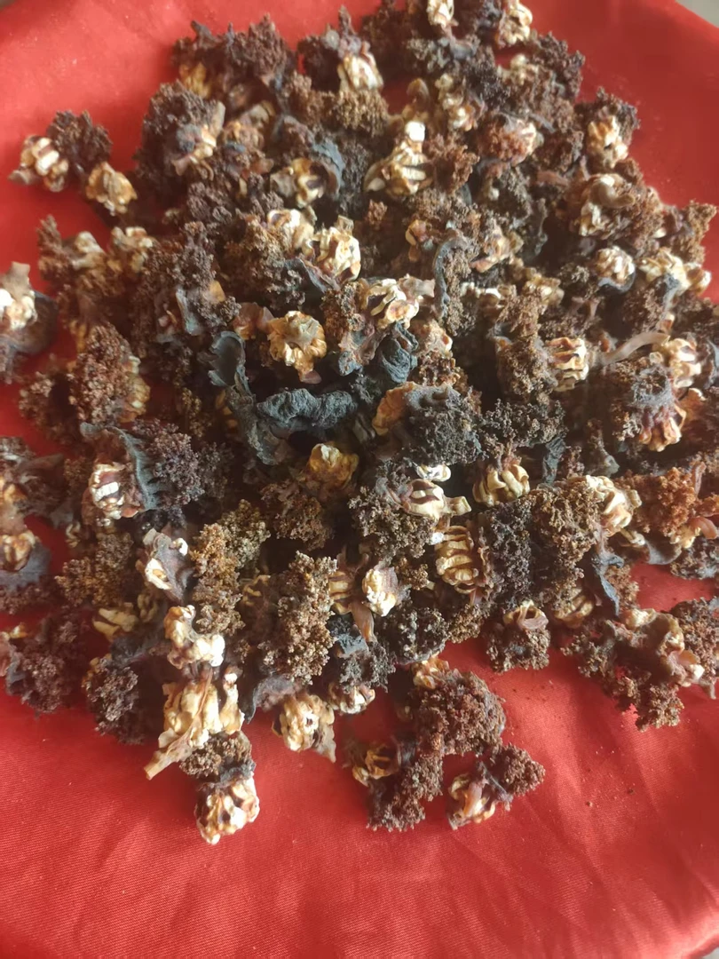 A【灵-息-根】净含量：50-500g【小田现收】