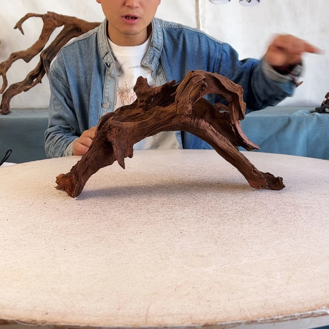 沉木造景爬宠造景