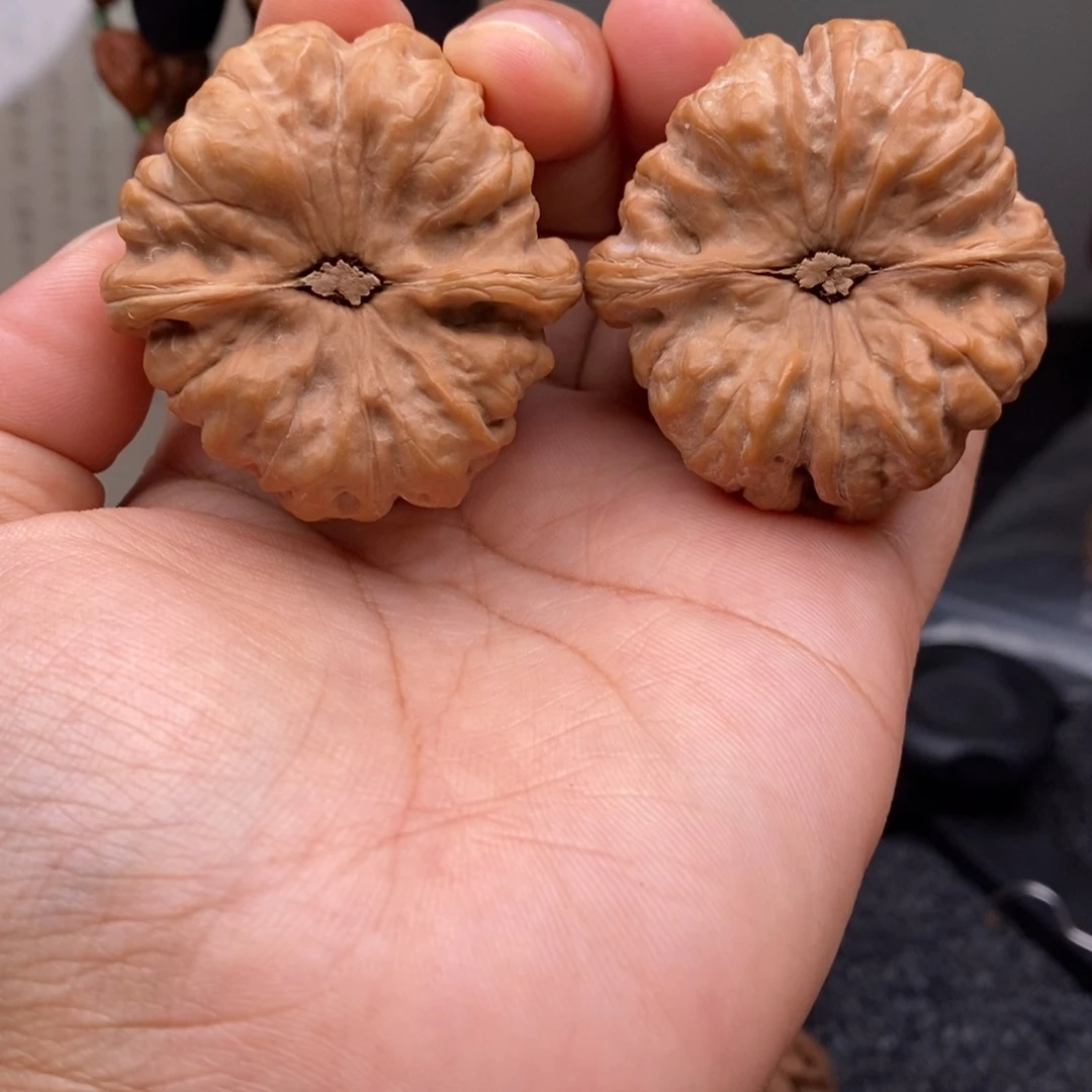 文玩核桃把件42蛤蟆头