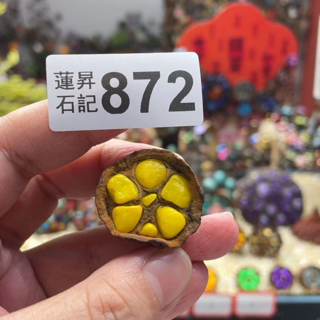 核桃木/黑胡桃（胡桃木）闹*872