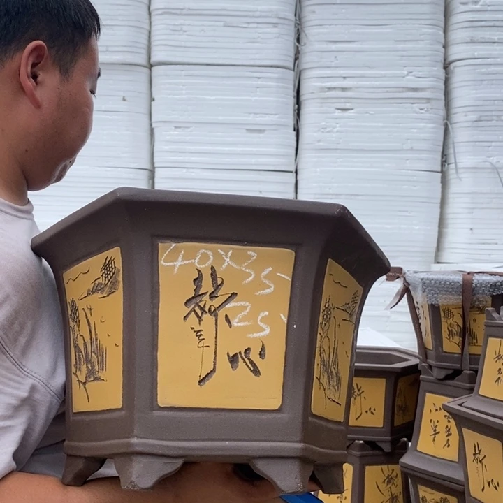紫砂花盆盆栽花卉种植