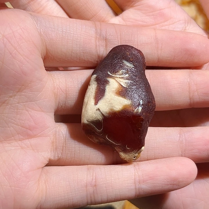 琥珀颈饰未镶嵌蜜蜡红瓷白吊坠（打孔不退换）
