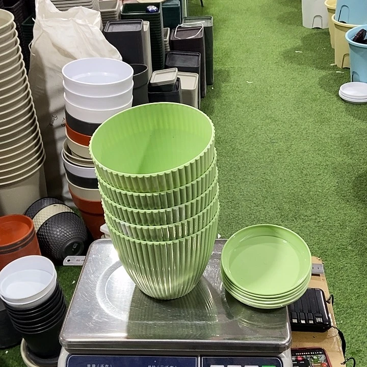 7竖条纹口17高15果绿色带拖5套