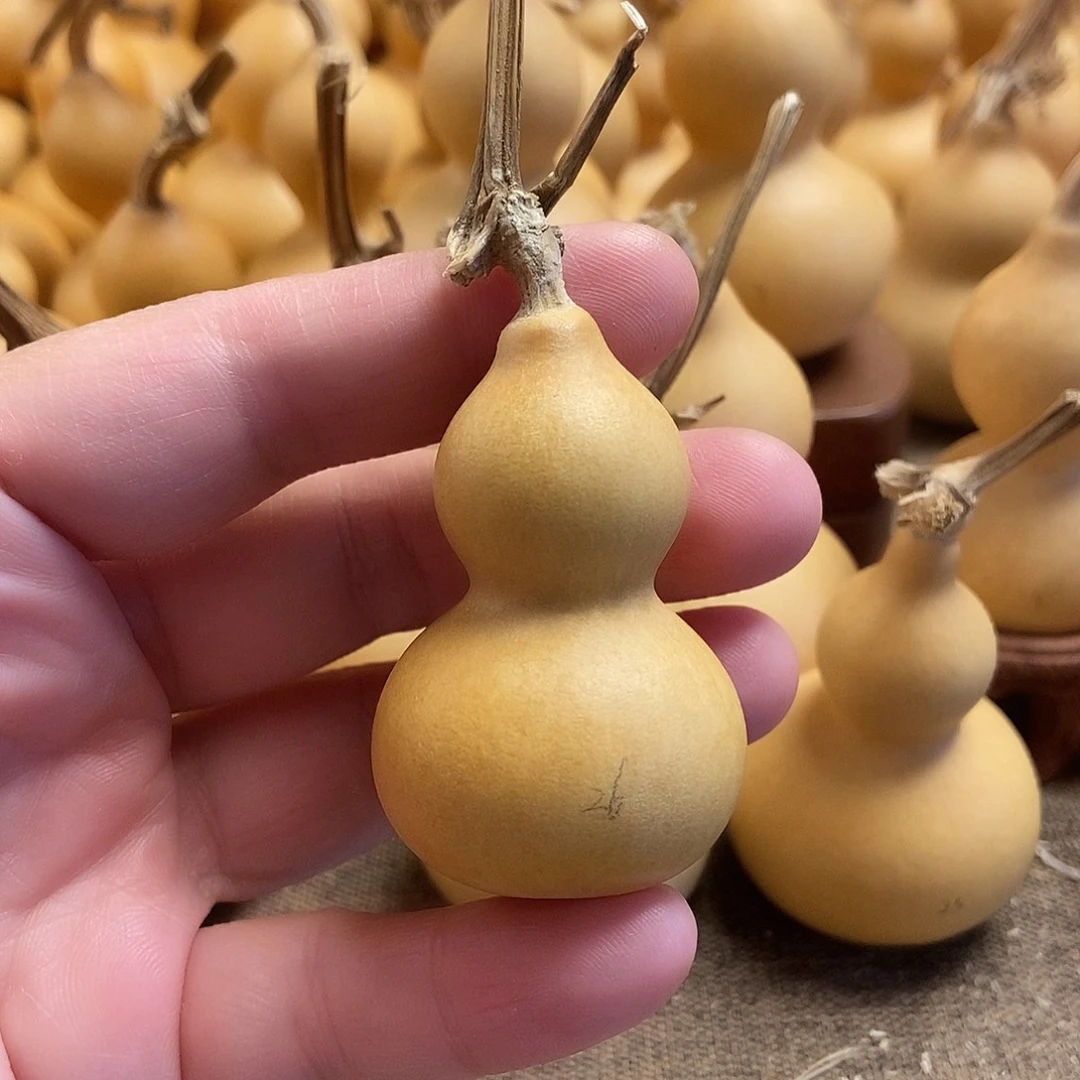 文玩葫芦 完美主义者 慎拍26