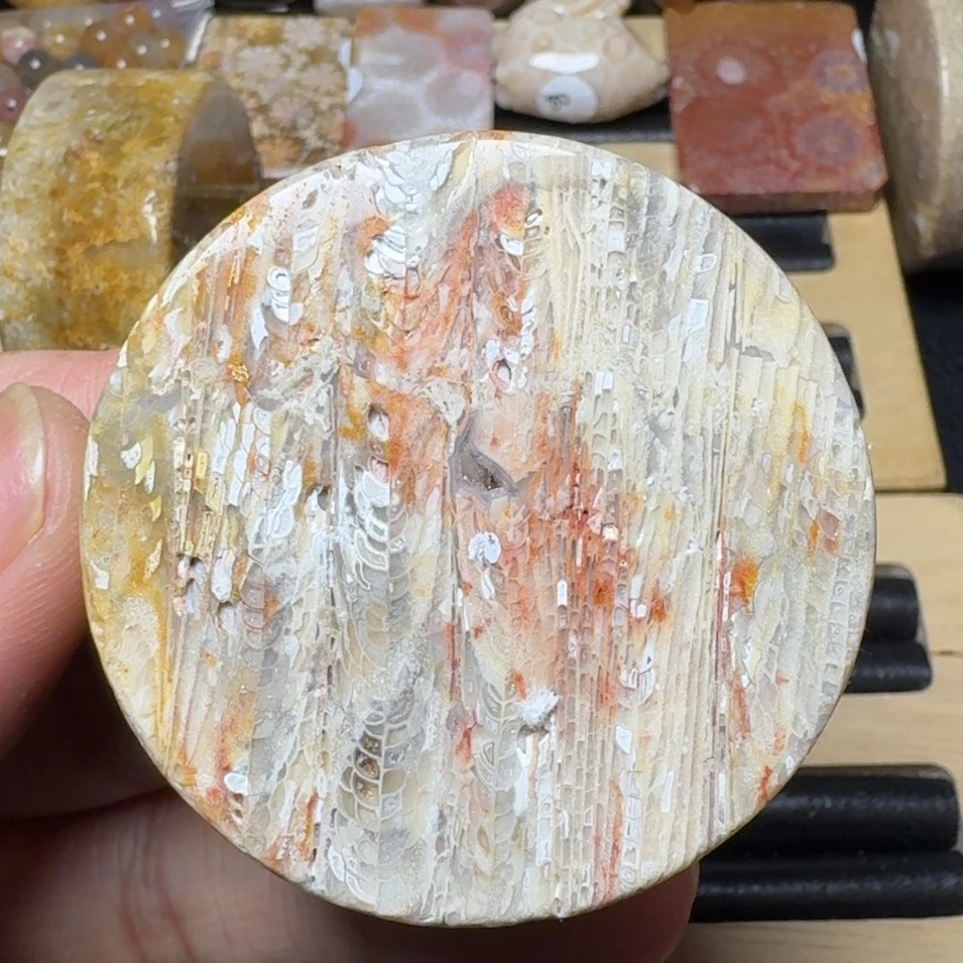 硅化玉纯天然色有机玉石手镯芯未镶嵌