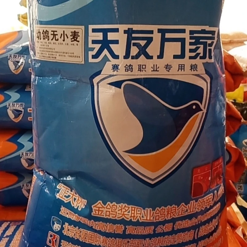 天友万家幼鸽无小麦