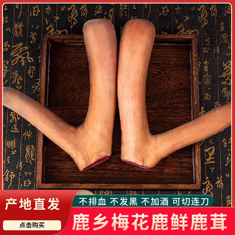 吉林长白山原产地优质新鲜鹿茸整枝现割可用于泡酒煲汤营养丰富