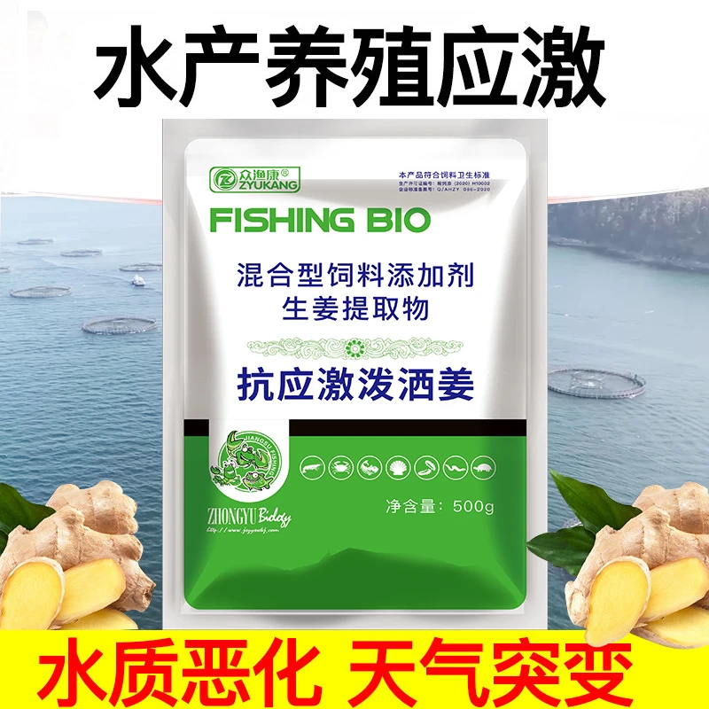 抗应激泼洒姜避免擦伤碰伤鱼安静诱食免疫促生长净化水质水产专用