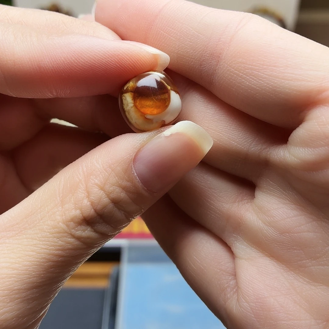 王****沁色老型单珠一颗眼睛13.5