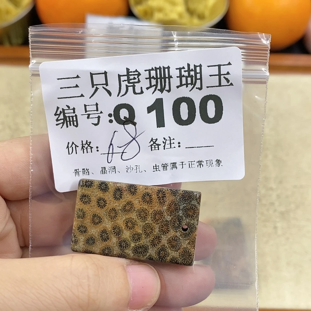 硅化珊瑚（珊瑚玉）1未镶嵌小*