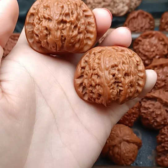 核桃白狮子头狮子头
