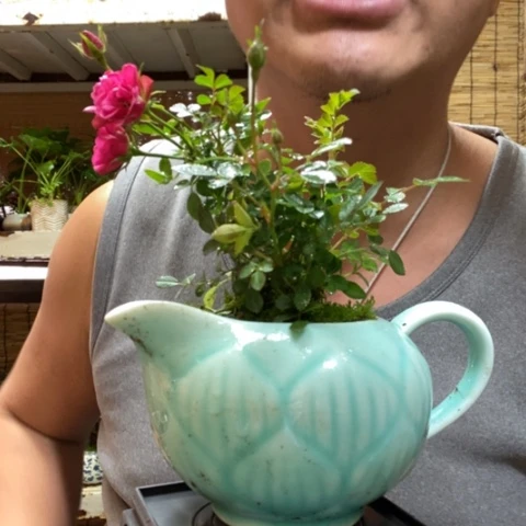 红陶一物一拍所见即所得78