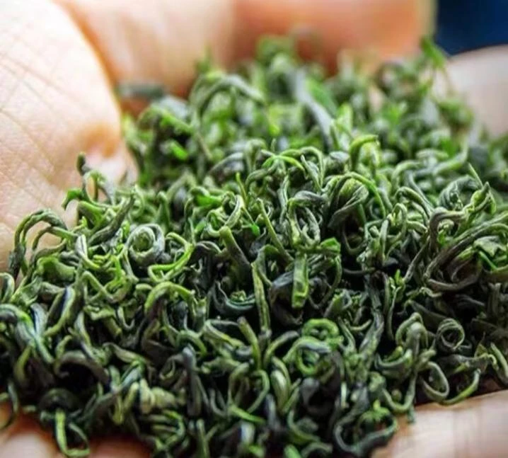 2025年新茶春茶硒都绿茶高山云雾绿茶春茶浓香型