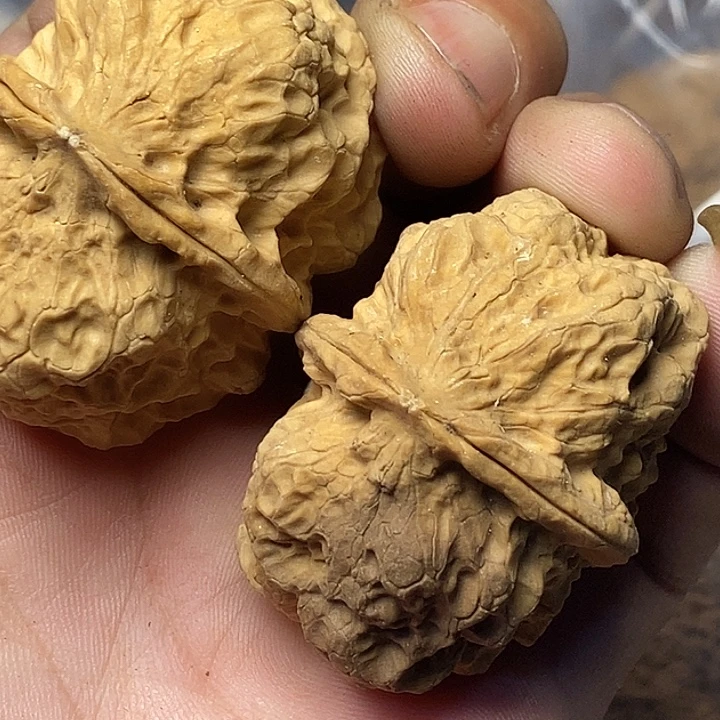 把件文玩核桃云南铁核桃192