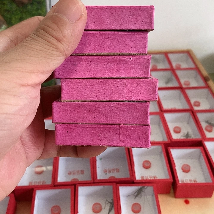 舍***26大黄黄黄好久好久