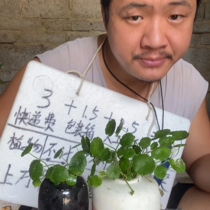 退款拉黑一物一拍73