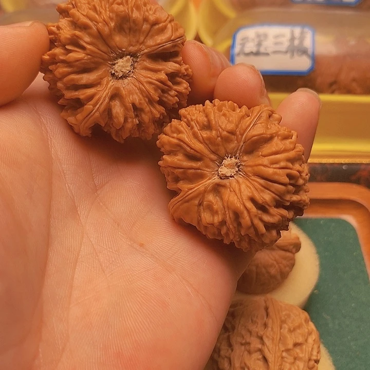 孙***俊文玩核桃把件42大凹底137