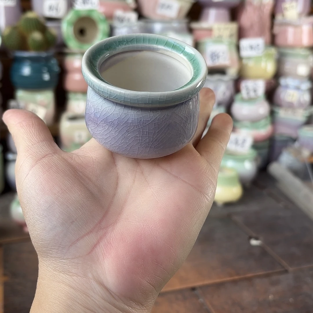 量货/口4.5高4.2深浅搭配发6