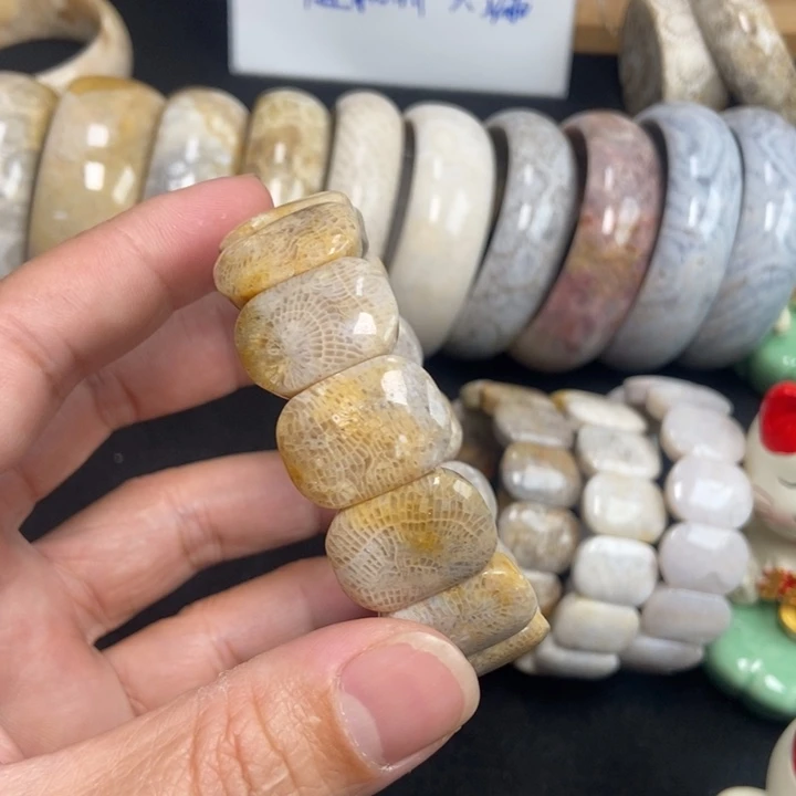 未镶嵌手链硅化珊瑚（珊瑚玉）