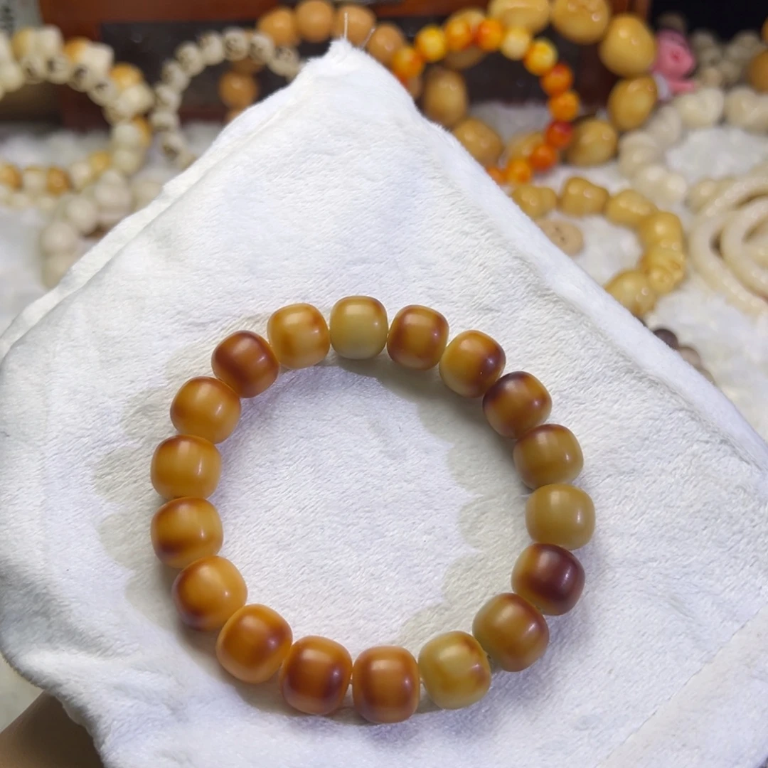 菩提根/象牙果吊坠瑞士卷卡14