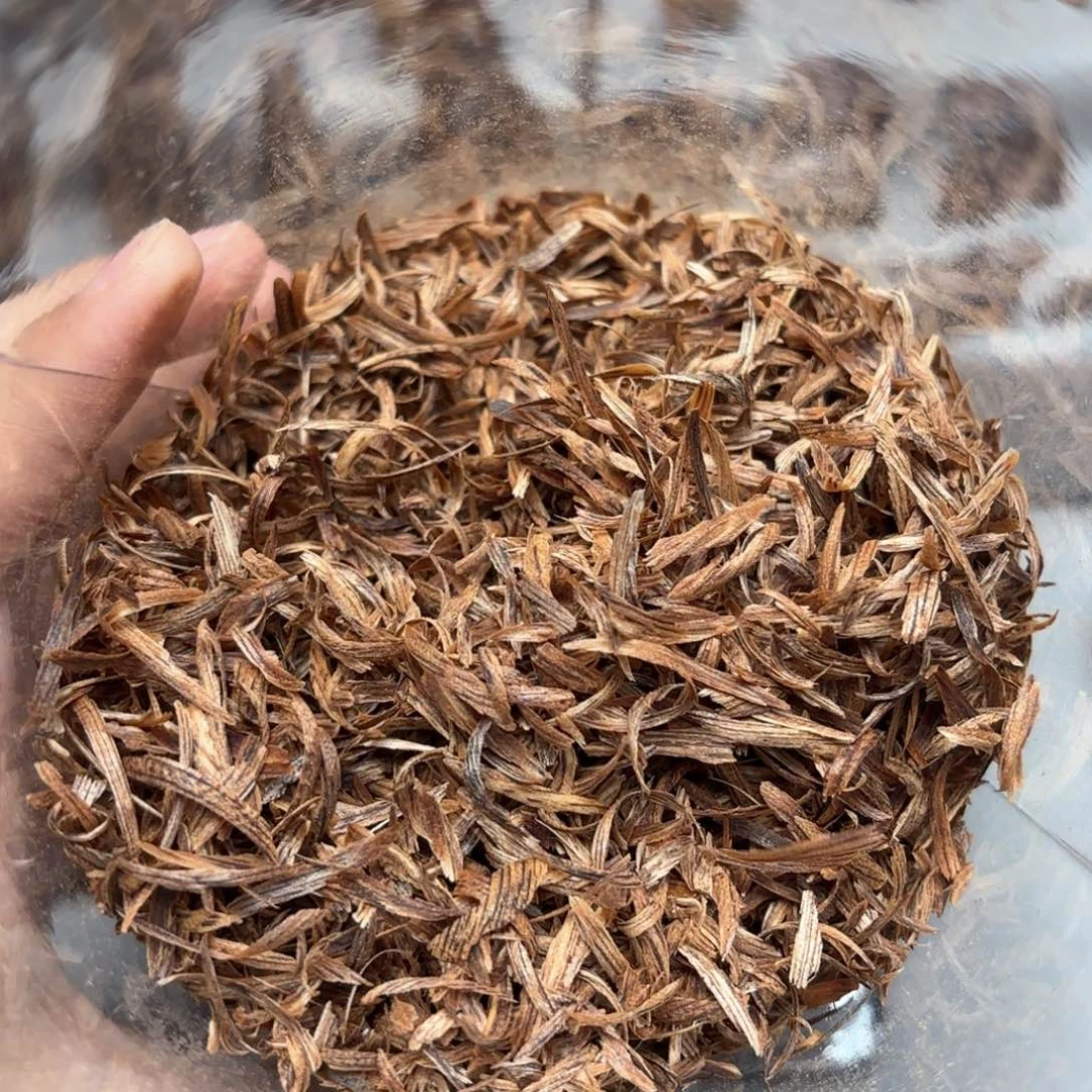 海南勾丝海南勾丝