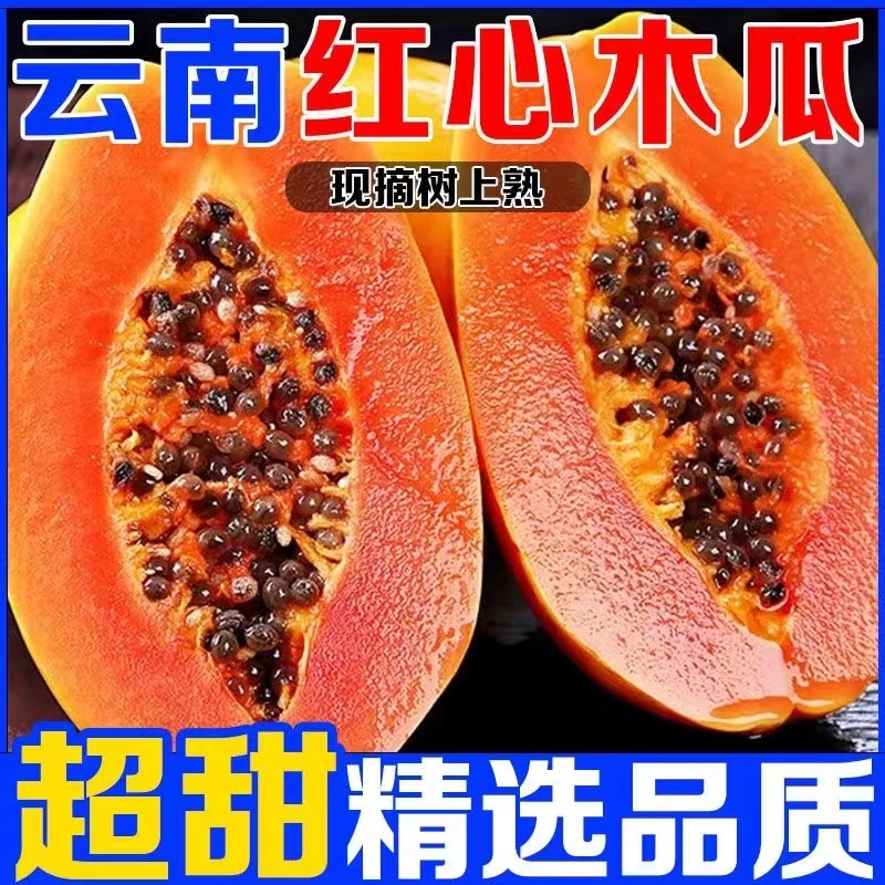 冰糖红心牛奶木瓜多汁牛奶木瓜现摘现发