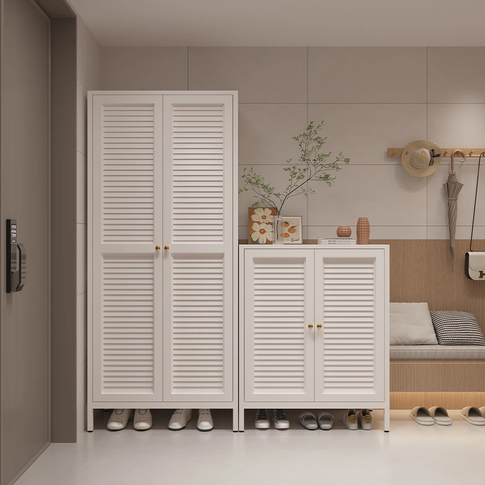 鞋柜2025新款爆款高档钢制收纳储物柜家用玄关置物柜门外走廊鞋架