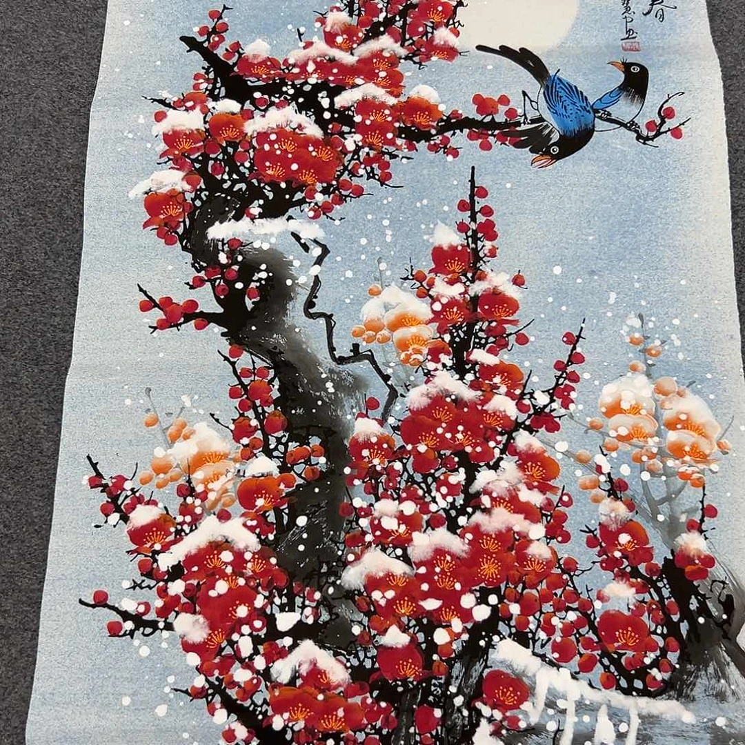 新号开播领福利了