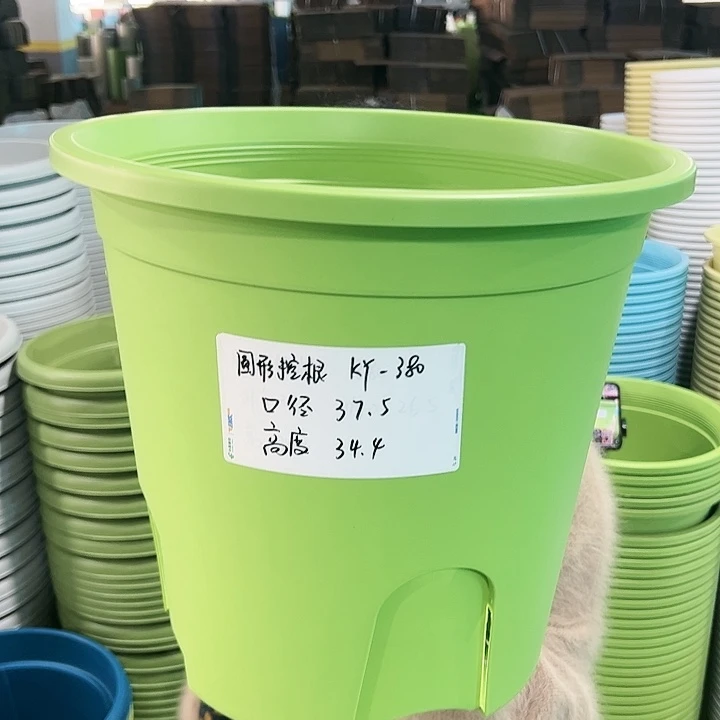 正品圆控口37.5高34果绿无托3只