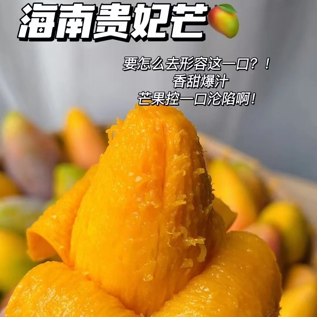 果切贵妃芒大芒果3斤一份