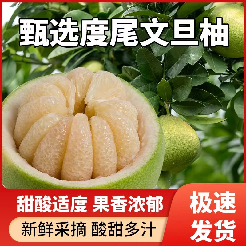 正宗福建仙游度尾文旦柚孕妇水果薄皮肉厚多汁当季现摘新鲜包邮