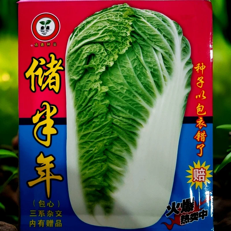 储半年包芯白菜籽25克左右