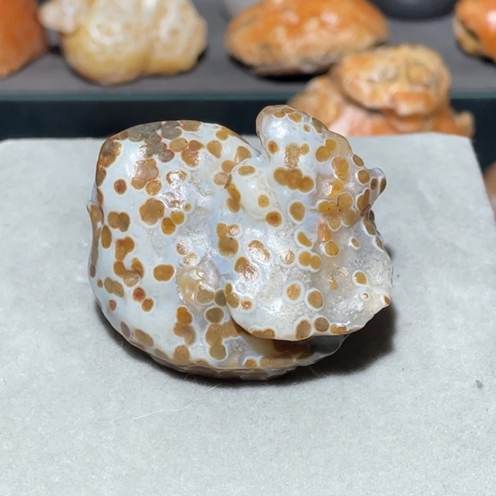 曾***）石材阿拉善沙漠奇石