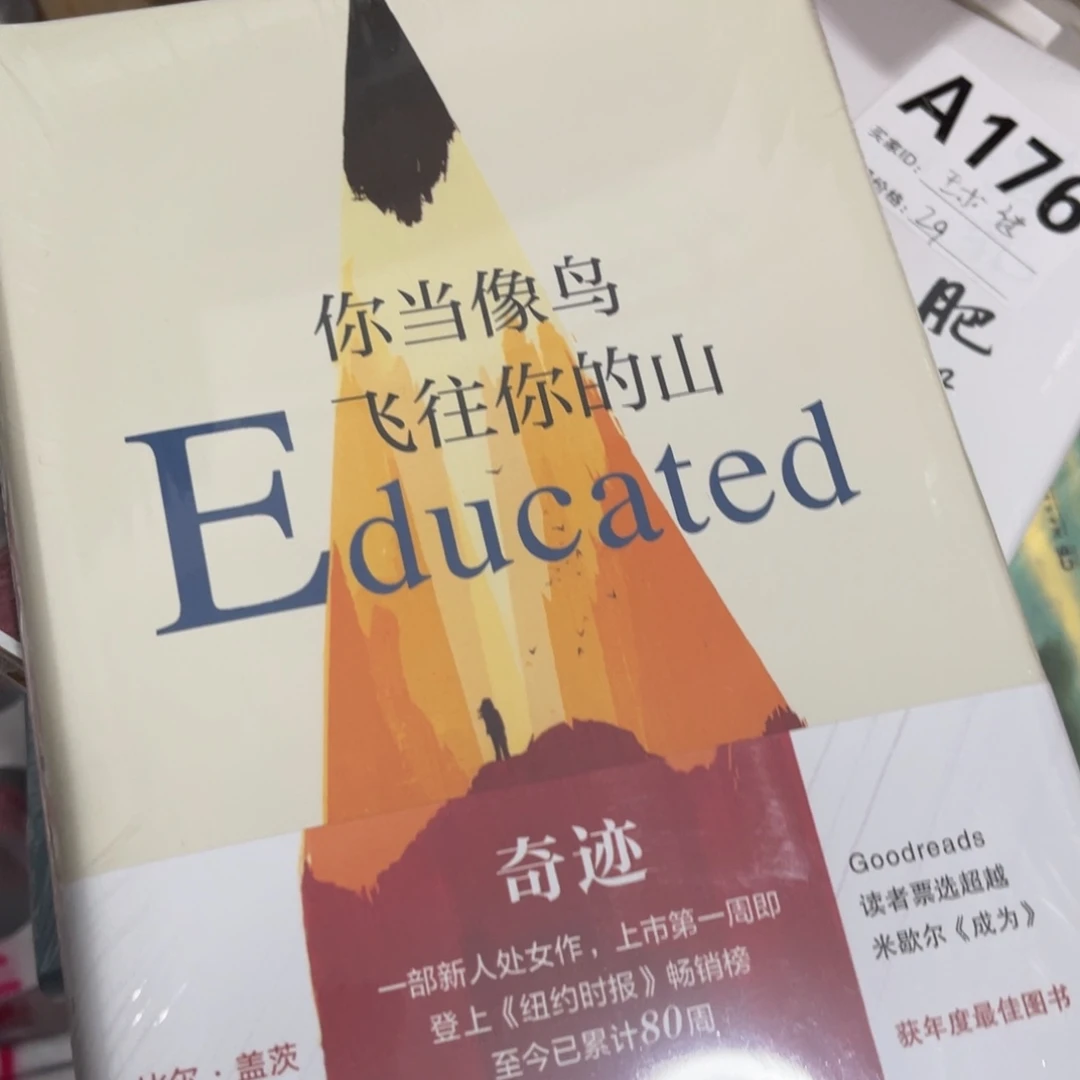 你当像鸟飞往你的山