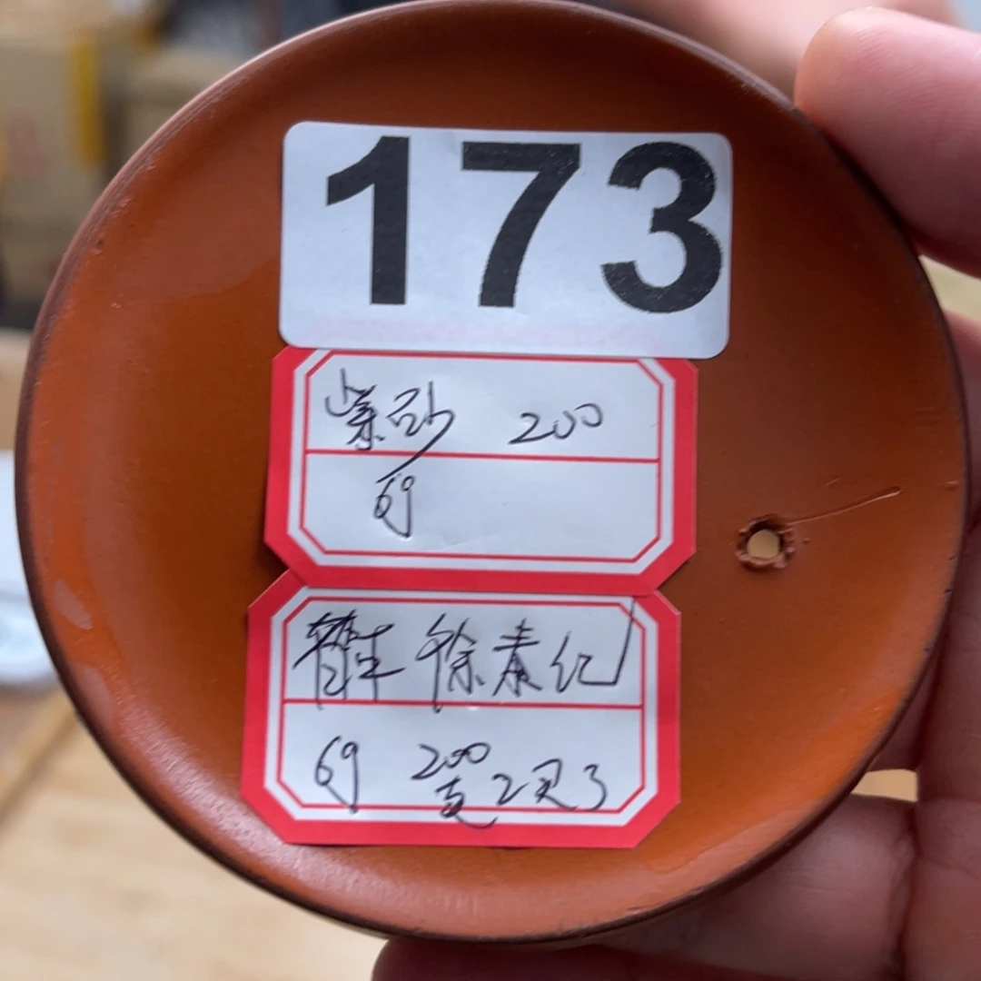 紫砂紫砂173……………