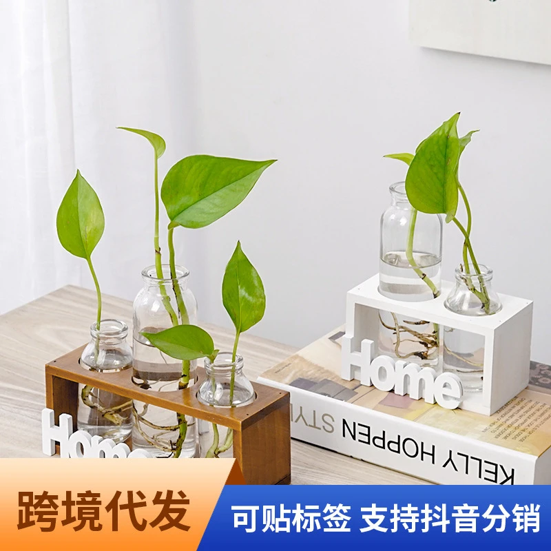 ins简约小清新玻璃花瓶水培植物透明插花花器客厅家居装饰摆件