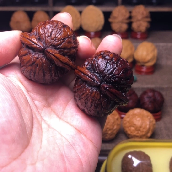 把件橄榄核37金龟玉甲40