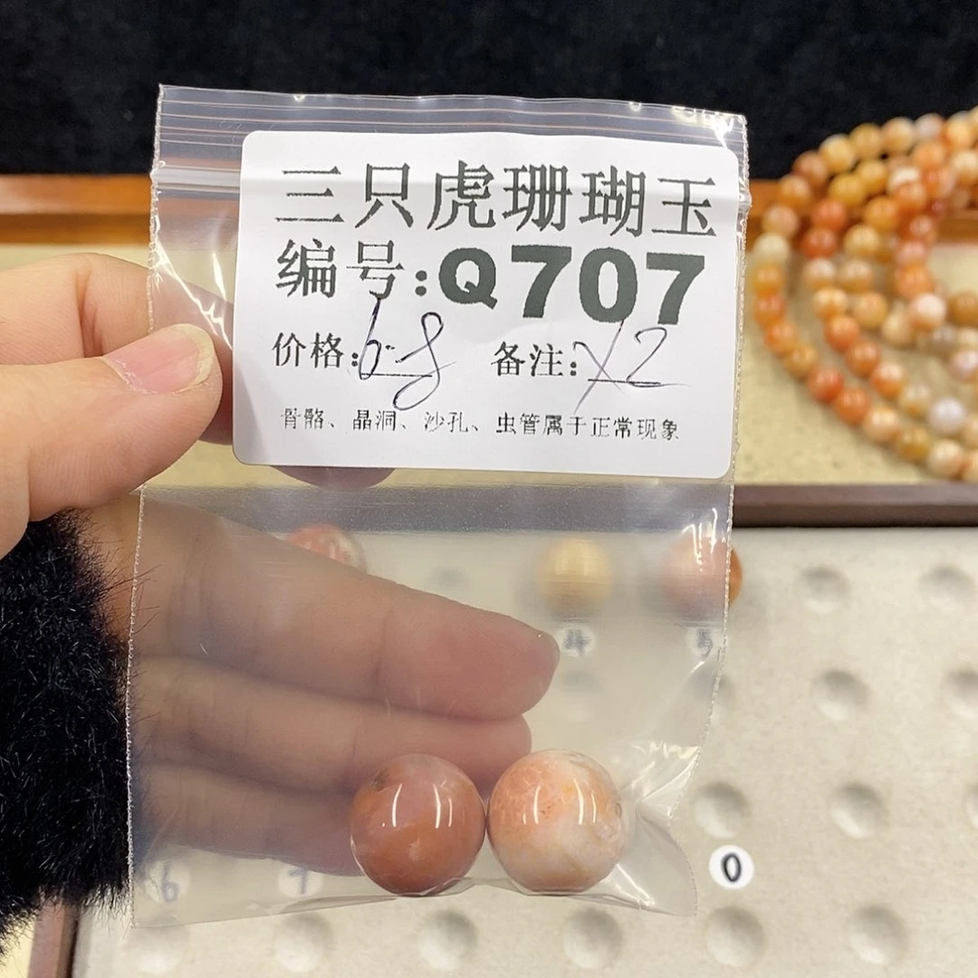 硅化珊瑚（珊瑚玉）1未镶嵌四*