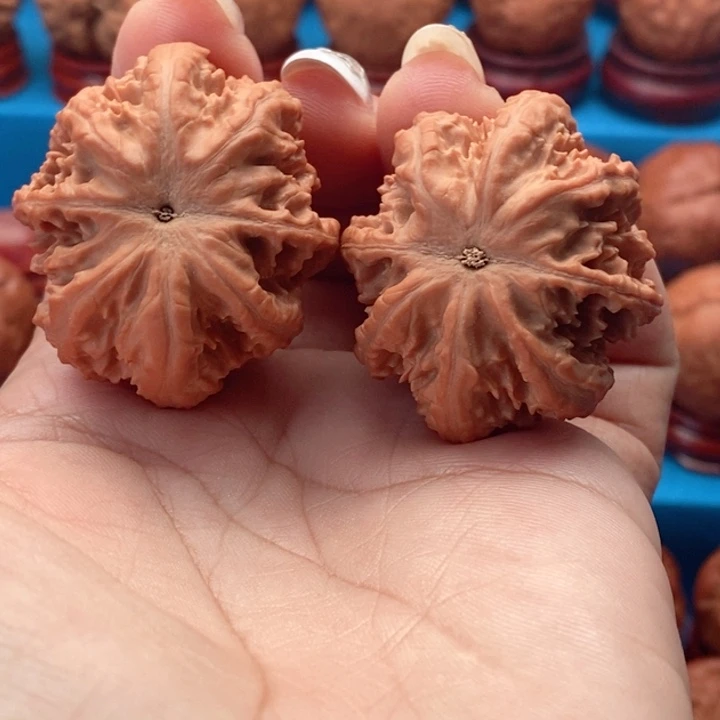 核桃精品文玩核桃手捻粗筋王