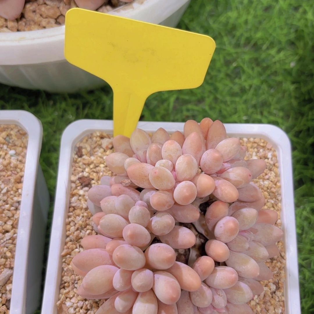 徐*?我的小可爱们都好可爱