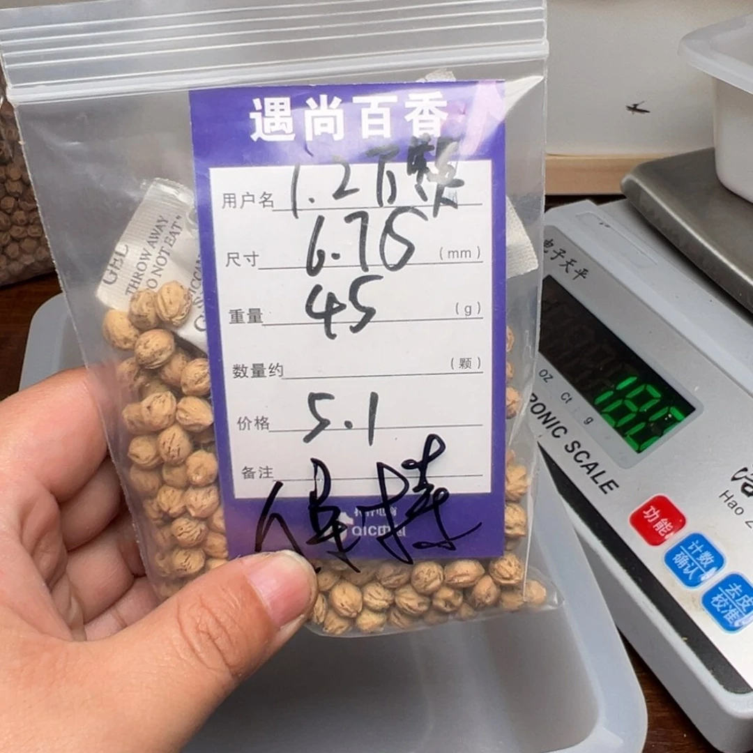 柏香籽/百香籽吊坠