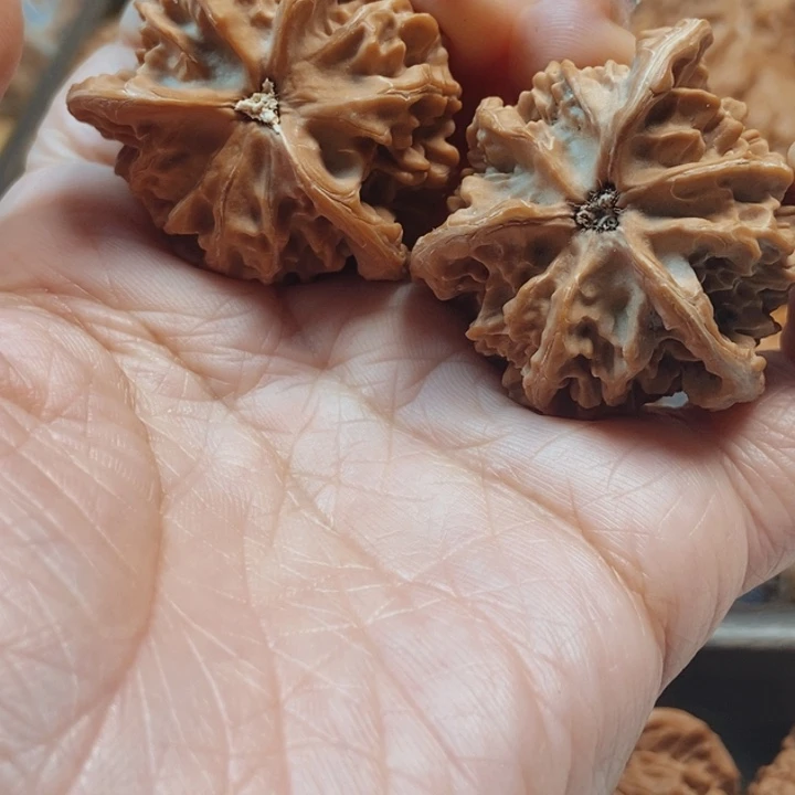 文玩核桃吊坠盘山
